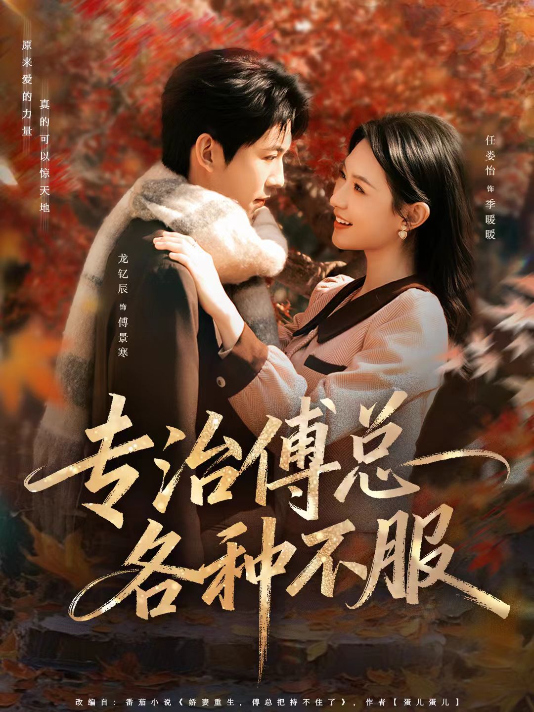 专治傅总各种不服